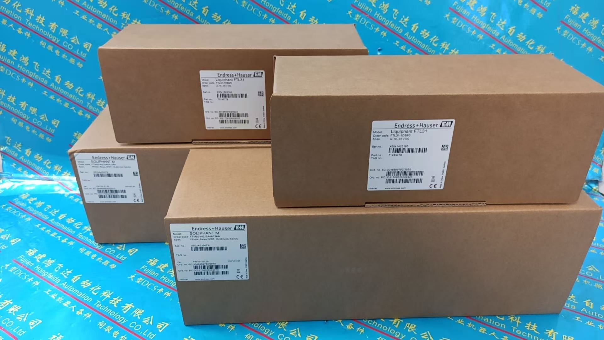 E+H FTL31-1D88/D Switch - E+H Switches